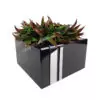 kwadratowa misa granitowa nagrobna MK003
